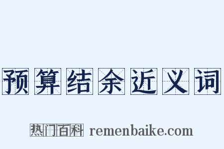 预算结余近义词是什么意思的图片
